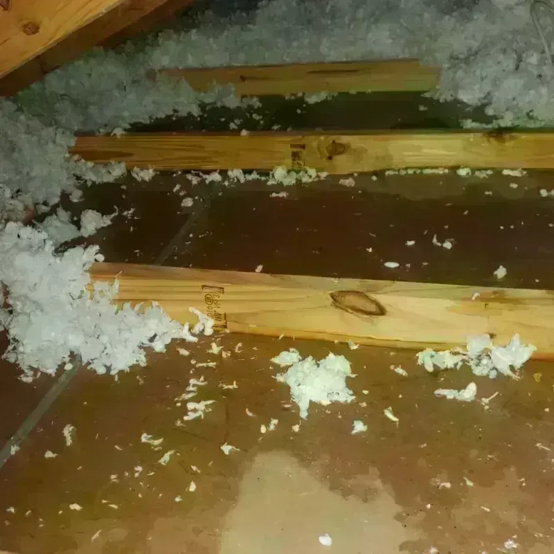 Attic Water Damage in Esmeralda County, NV