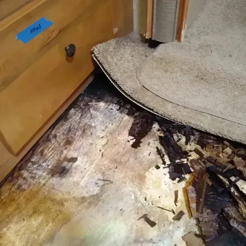 Wood Floor Water Damage in Esmeralda County, NV